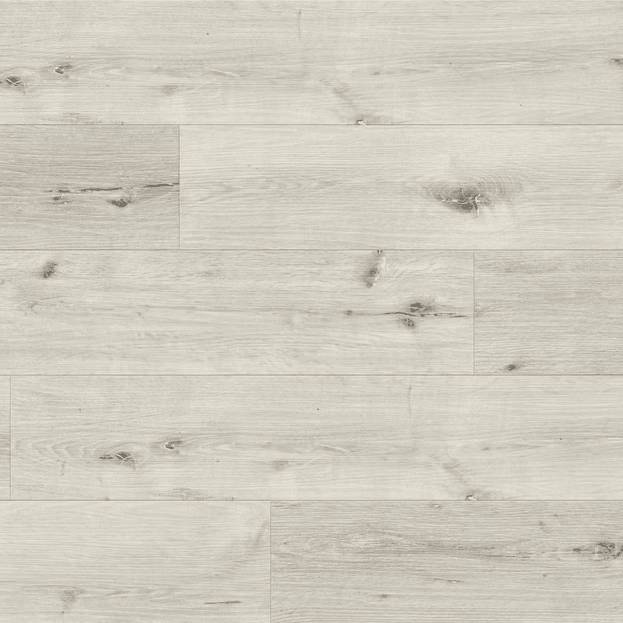 Arctic Maple